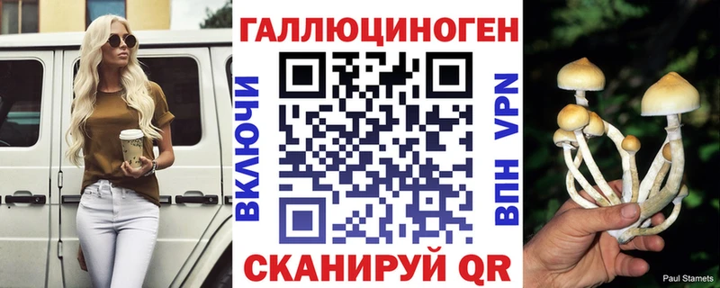 Купить закладки  Благовещенск  Галлюциногенные грибы Cubensis 